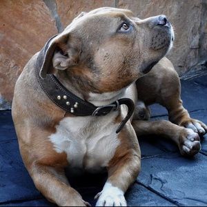 Meet your Posher, Derrick